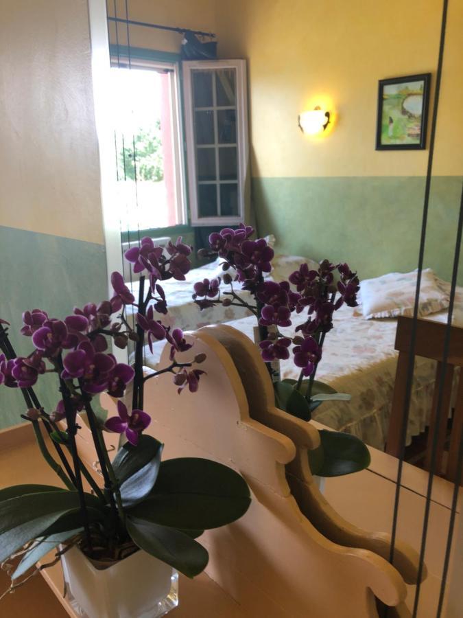 艾格-莫尔特马斯德拉蒙迪尔旅馆住宿加早餐旅馆 外观 照片